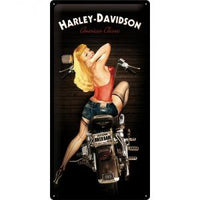 Cartello 25x50 cm HARLEY PIN