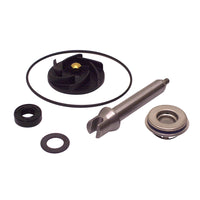 Kit Revisione Pompa Acqua Gilera FUOCO/Piaggio MP3 400/500 cc