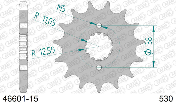 Pignone AFAM 46601-15 passo 530