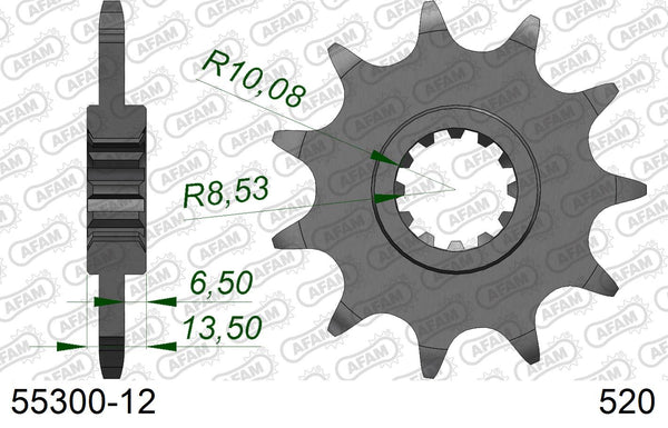 Pignone AFAM 55300-12 passo 520