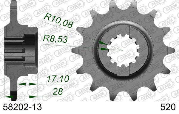 Pignone AFAM 58202-13 passo 520