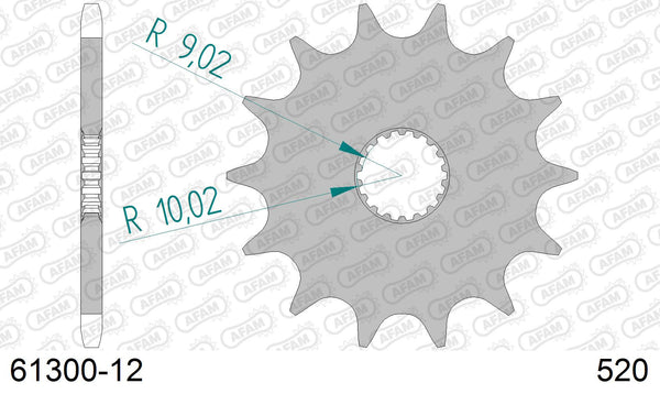 Pignone AFAM 61300-12 passo 520