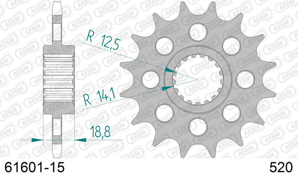 Pignone AFAM 61601-15 passo 520