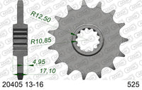 Pignone AFAM 20405NR-15 Passo 525 Con Gomma Antirumore