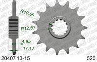 Pignone AFAM 20407NR-15 Passo 520 Con Gomma Antirumore