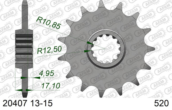 Pignone AFAM 20407NR-15 Passo 520 Con Gomma Antirumore