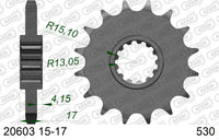 Pignone AFAM 20603NR-16 Passo 530 Con Gomma Antirumore