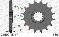 Pignone AFAM 21602NR-16 Passo 530 Con Gomma Antirumore