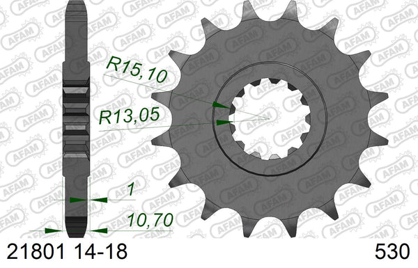 Pignone AFAM 21801NR-16 Passo 530 Con Gomma Antirumore