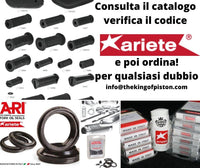 ARIETE 00920