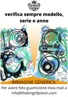 Serie Guanizione Motore SUZUKI AN 150 T/W 96-98